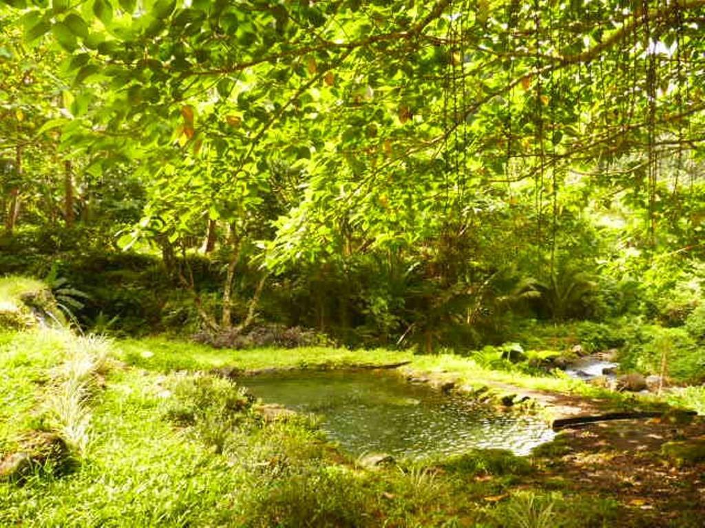 Somewhere Else Boutique Resort Mambajao Luaran gambar